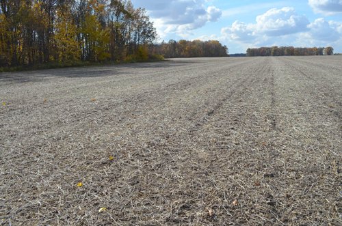 Property photo 29 - 75.3 Acres Offered in 2 Tracts